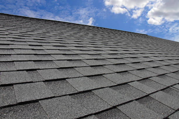 Best Rubber Roofing (EPDM, TPO)  in Williamstown, NJ